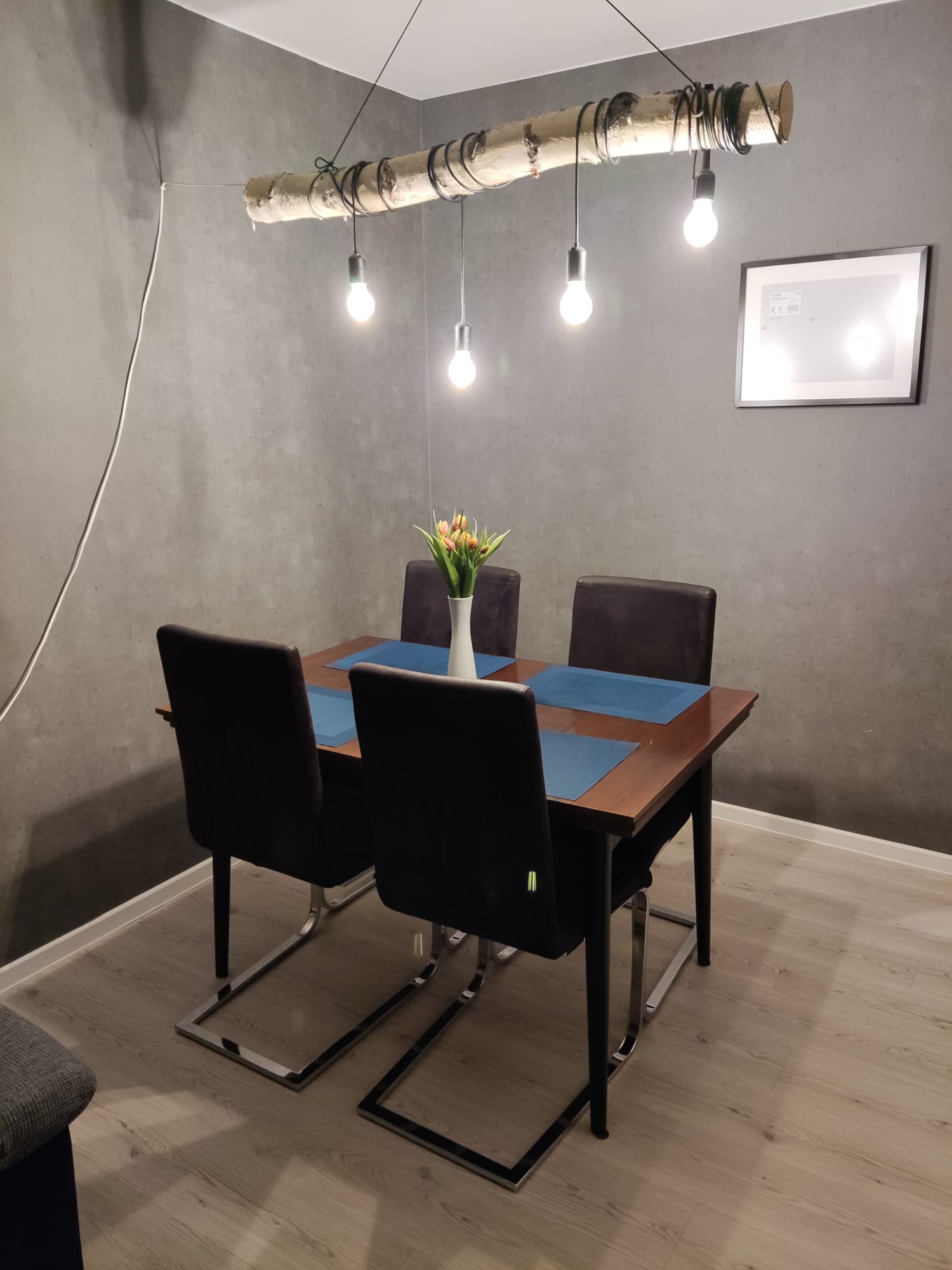 4 Esszimmer-Stühle
